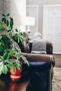 The Transformative Power of Group Therapy