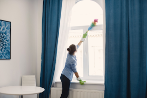 How Windows Installation and Treatments Promote Style