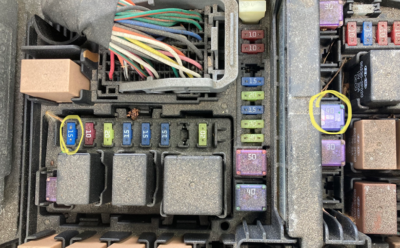Broken Horn Problems - Check Fuse Relay and Wiring